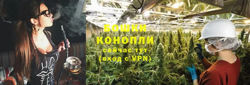 KRAKEN ТОР  купить наркотики сайты  Кольчугино  Канабис LSD WEED 